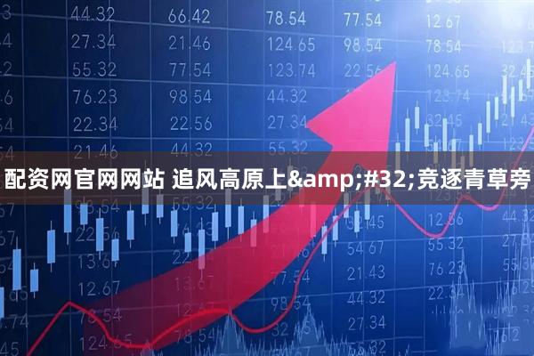 配资网官网网站 追风高原上 竞逐青草旁