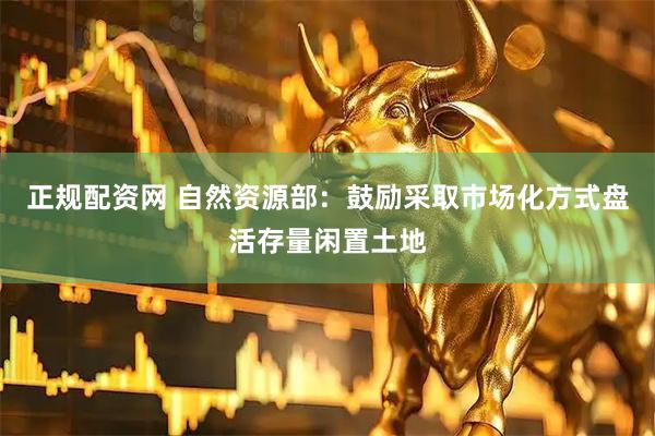 正规配资网 自然资源部：鼓励采取市场化方式盘活存量闲置土地