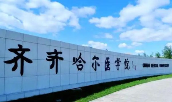 线下炒股配资网站 黑龙江27所高校排名洗牌！齐医领先哈音，绥化学院远超黑工业